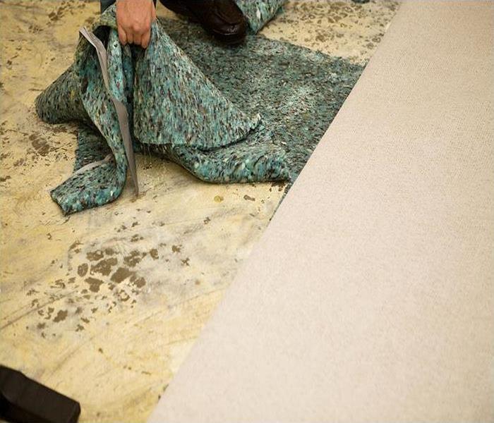 Water Soaked Carpet Pad