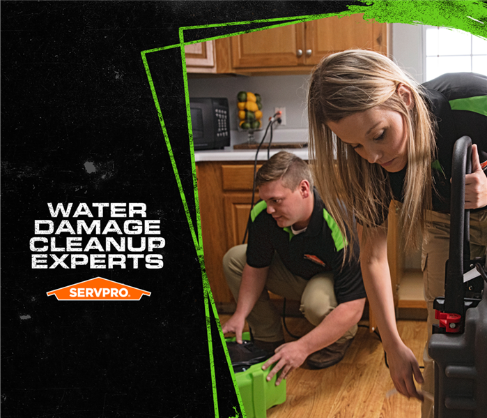 Image of SERVPRO Techs using water detection tools in a kitchen with caption: WATER DAMAGE CLEANUP EXPERTS SERVPRO