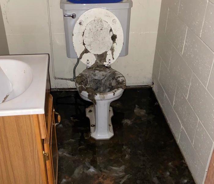 Sewage backup in bathroom